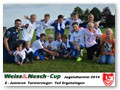 E-Ergenzingen_Turniersieger2014