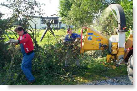 Spielplatz-2002-Abholzung-011-web